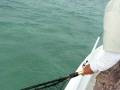 videos de Nick Fighting Islamoroda Bonefish