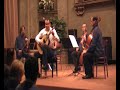 GIULIO TAMPALINI - Giuliani Concerto op. 30 (1st mov - b)