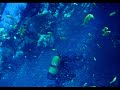 nuée de glassfish