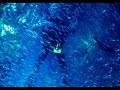 nuée de glassfish