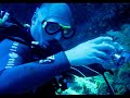 nuée de glassfish