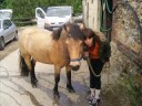 cavale merens