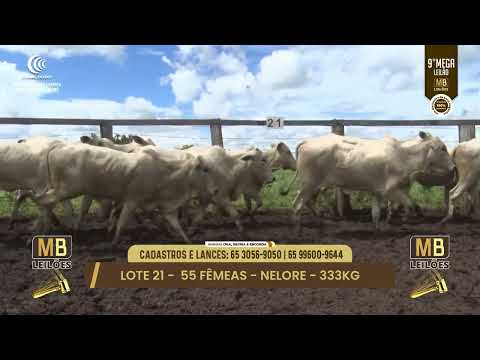 9� MEGA LEIL�O DA MB LEIL�ES