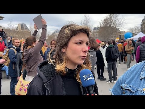 Frankreich: Protestmarsch in Paris - Es gibt keinen Knig in Frankreich