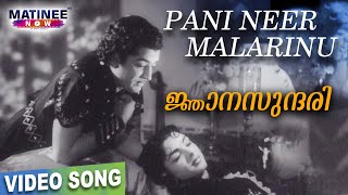 Panineer Malarinorithal Video Song   Jnaanasundari
