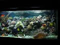 Happy Holidays from Reef Evolutions!