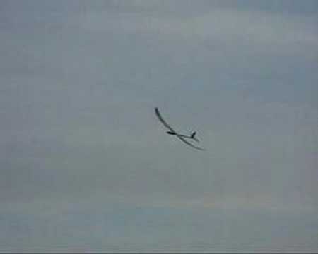 Watch RC Video: 'electric sailplane great'