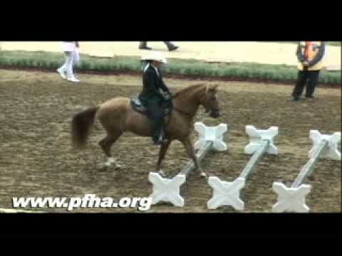 grand national results