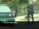 Wanted Drug Dealer Getting Tasered Wanted Drug Dealer Getting Tasered