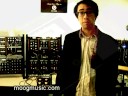 Moog - DJ/VJ Mike Relm meets the MP-201 Multi-Pedal Moog - DJ/VJ Mike Relm meets the MP-201 Multi-Pedal
