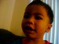videos de rylan tells dino story.AVI