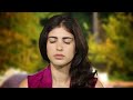 Meditate in the Autumn Leaves | THE MEDITATOR Ep. 9