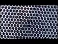 Bees for Beginners Part 5, peak oil, food storage