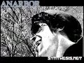 Anarbor vs Duck on Synthesi.net