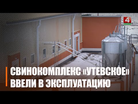 Современный технологичный свинокомплекс «Утевское» на 7 200 скотомест ввели в эксплуатацию под Добрушем видео