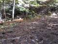 Nature Walk (15th Oct. 2008) 17
