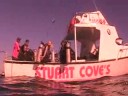 Shark Dive in the Bahamas