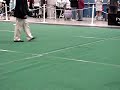 Tradex- Franco Reserve Winners