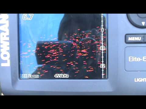 how to locate a dsi