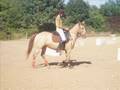Cachou et Crapo0