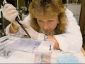 11    creation science made easy