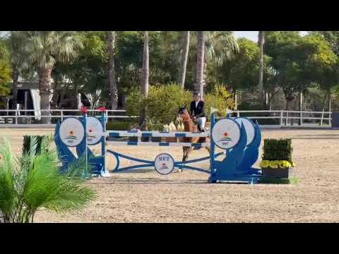 TARTINE VD BISSCHOP - 6YO FINAL MET OLIVA - DECEMBER 2025