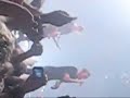 Kent 17/11 Mannen i den vita hatten (live)