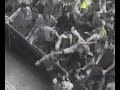 Bull Fight.mp4 Bull Fight.mp4