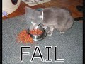 Ninja Counter Strike Source FAIL css