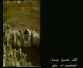 Collapse of Darwinism ( arabic )
