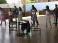 Assistir ao v�deo