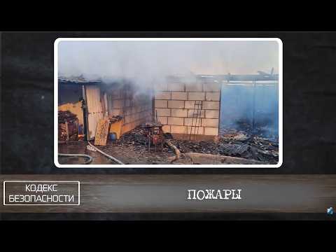 Кодекс безопасности. 25.03.26.