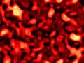 Coupled Cellular Automaton