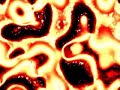 Coupled Cellular Automaton