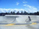 dixon-flip
