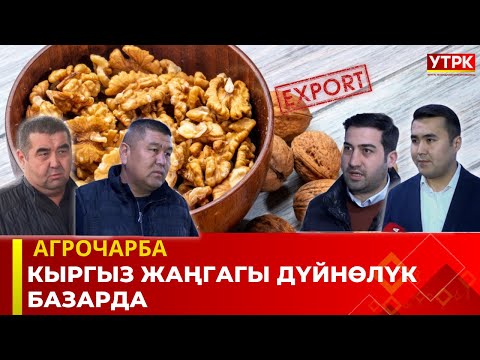 Кыргыз жаңгагы дүйнөлүк базарда | Агрочарба