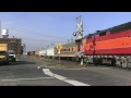 [Portland, OR] It's February 10th, 2011, and it's a big day down at the Brooklyn Roundhouse/yard. All the equipment outside of the roundhouse must be moved, and Burlington Northern Santa Fe (along with a Union Pacific pilot) is here with their EMD SW1000 to move the historic rail equipment over to the new storage space in Northwest Portland. After being four hours on the job, the switch crew finally gets the 'OK' to run light power over to Brooklyn yard with BNSF 3613 to grab this historic Hospital Train. The hospital train included DLMX 644 (EMD SDP40F), DLMX 231 (EMD F40PHR), Ice Lake passenger car, two ex-Shasta Daylight baggage cars, DLMX 866 (ALCO FA-1), the Clackamas River passenger car, and more.