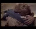 lets-be-thankful-musical-video-essay.html