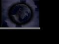 coil - the snow