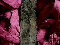 antique bronze sword antique bronze sword