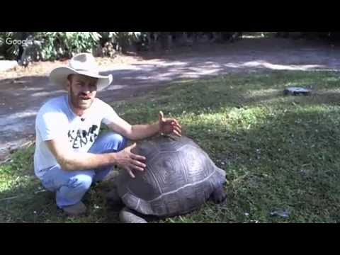 YouTube reptile video