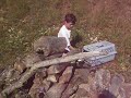 3 Baby Cottontail Bunny Rabbits Released 2 Wild Peoga Lakes
