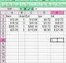 Excel Spread Sheet Basics - Using a Formula