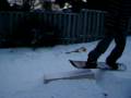 videos de Box In Backyard