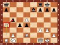 World Chess Championship 2010: Anand vs. Topalov - Game 7