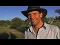 a permaculture community subdivision based on tree crop agriculture, on the edge of an australian country town.