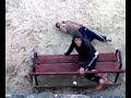 ostiazo ostiazo