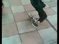 Me Doin A Kickflip!!!