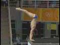 Dive Alive