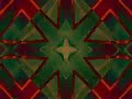 Swan Lake Through the Kaleidoscope